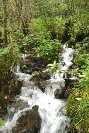 人间水蜜桃阿曼达写真大赏?优雅激情交织,你能否抵住这诱惑之力